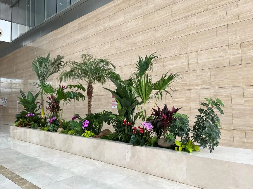 探秘宁波奉化盆景租赁公司，租赁绿植好去处