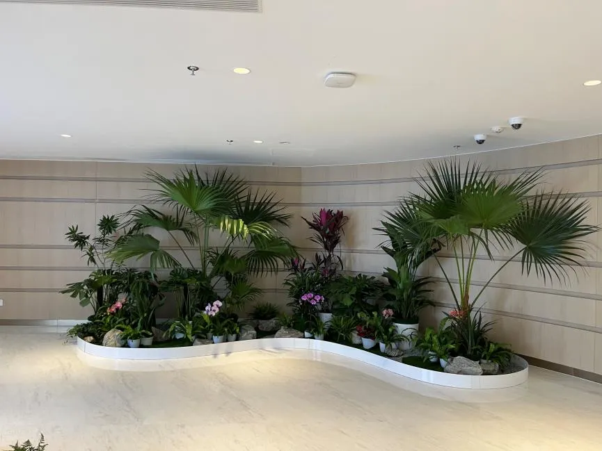 余姚花卉租摆价格